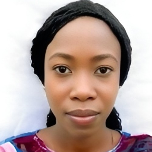 Oluwaseun Osanyinro Oluwaseun Osanyinro, Speaker at Public Health Conferences