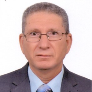 Ali Hassan Ibrahim, Speaker at GPB 2022