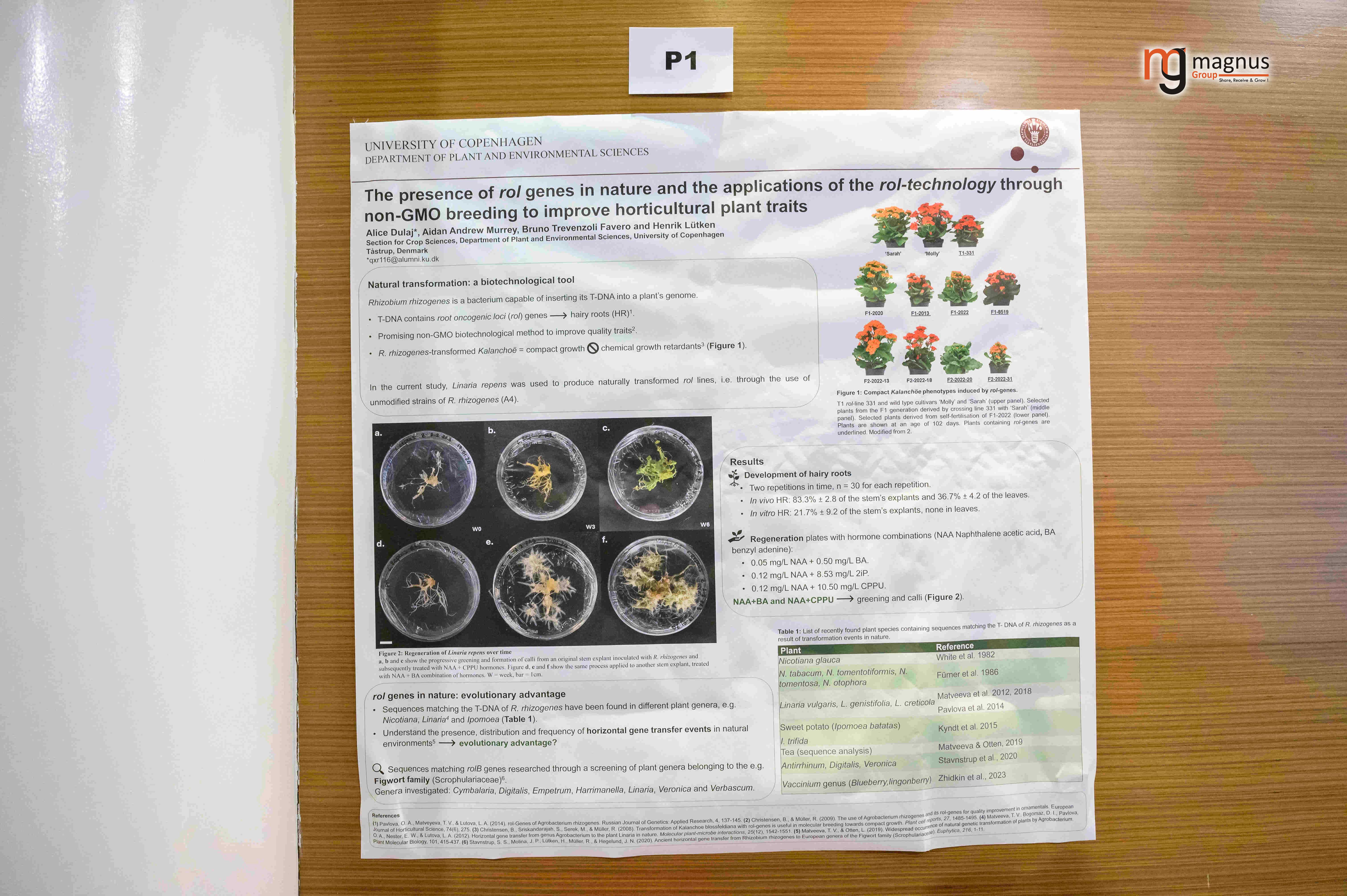 Plant Biology Conference