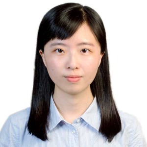 Innovative binocular vision assessment and training applications Hui Rong Su