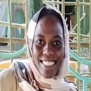Tayseer Ahmed Hassan Mohamed, Speaker