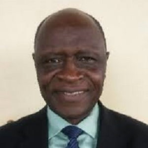 Vincent P K Titanji, Speaker