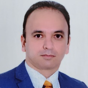 How hybrid reinforcing of nanocarbons strongly affects the balance between strength and ductility in aluminum matrix composites Behzad Sadeghi, Speaker