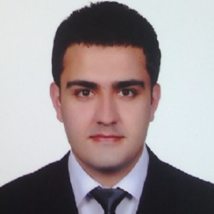 A novel microwave energy-based approach to hybrid nanomaterial preparation for electrochemical energy storage purposes Selcuk Poyraz, Speaker
