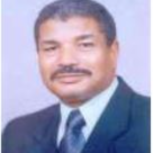 Mahmoud Khodari Maeila Hamed